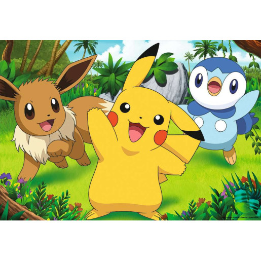 POKEMON