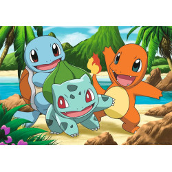 POKEMON