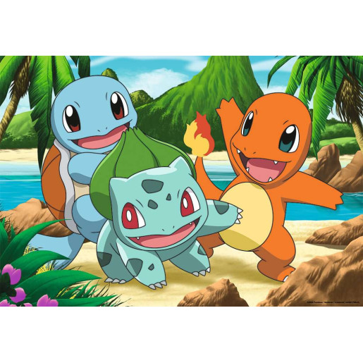 POKEMON