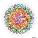 CIRCULAR - DONUTS