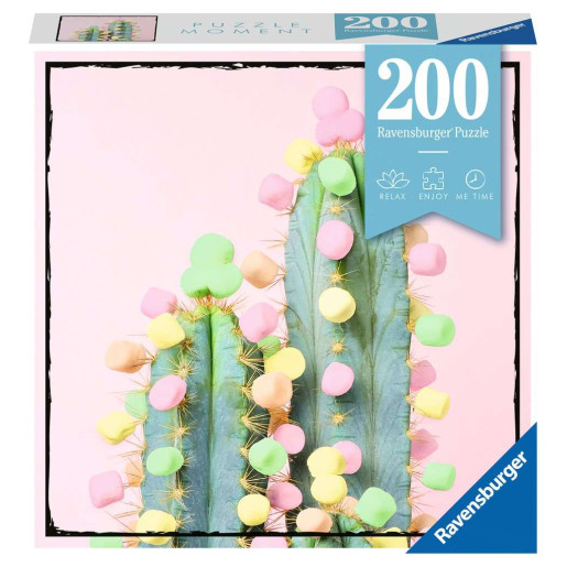 MOMENT CACTUS