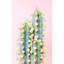 MOMENT CACTUS