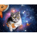 GATO EN EL ESPACIO