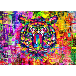 TIGRE MARAVILLOSO