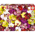 COLLAGE DE ORQUIDEAS