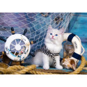 CAPITAN GATITO