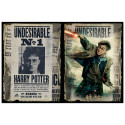 PUZZLE PARA RASCAR HARRY POTTER WANTED