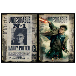 PUZZLE PARA RASCAR HARRY POTTER WANTED