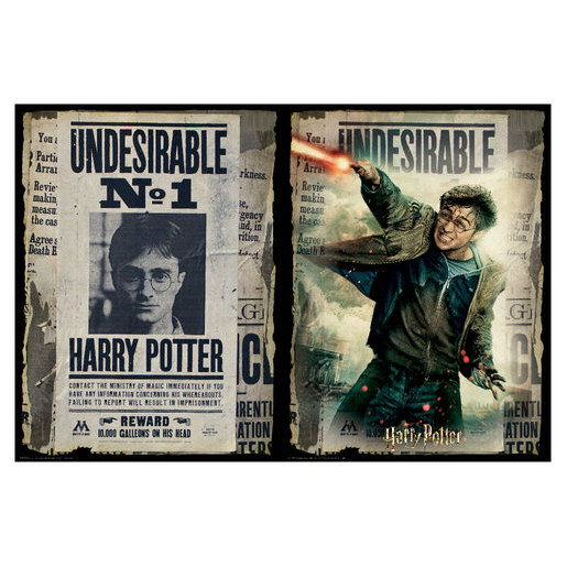 PUZZLE PARA RASCAR HARRY POTTER WANTED