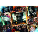 HQC HARRY POTTER