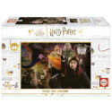 HARRY POTTER MINIATURE