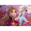 LISCIANI  DISNEY 24 PZS. PARA PINTAR FROZEN
