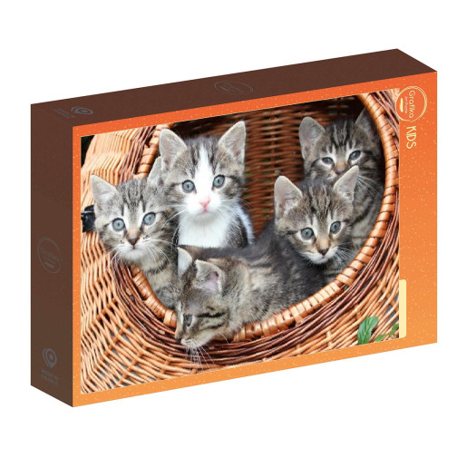GATITOS EN LA CANASTA