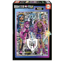 500 - MONSTER HIGH