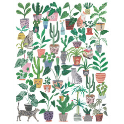 GATOS Y PLANTAS