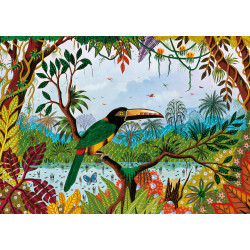 TUCAN EN LA JUNGLA