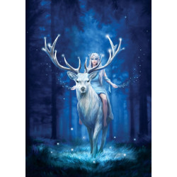 BOSQUE DE FANTASIA - ANNE STOKES
