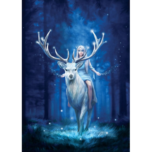 BOSQUE DE FANTASIA - ANNE STOKES