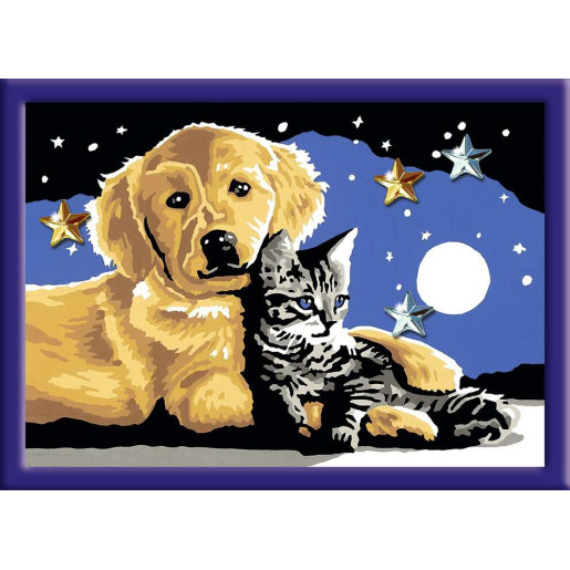 PERRO Y GATO