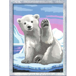 CIAO CIAO OSO POLAR SERIE D