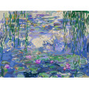 MONET, NENUFARES