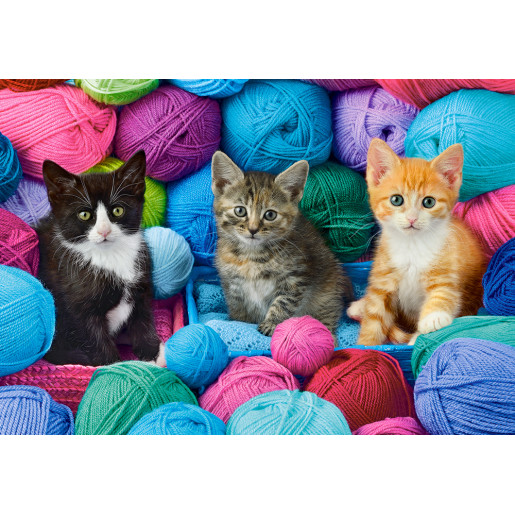 GATITOS EN LA TIENDA DE LANA