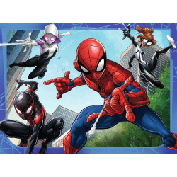 SPIDER-MAN