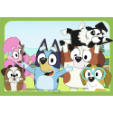 2 X 12 - BLUEY