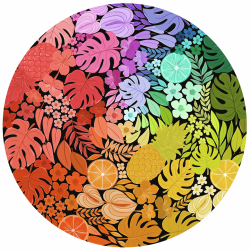 CIRCULAR - TROPICAL