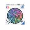 500 - CIRCULAR - SETAS