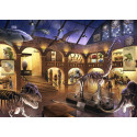 ESCAPE KIDS: MUSEO DE HISTORIA NATURAL