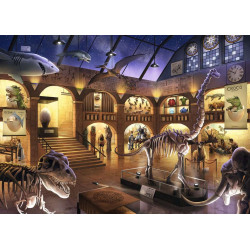 ESCAPE KIDS: MUSEO DE HISTORIA NATURAL