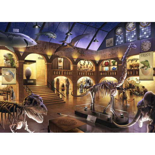 ESCAPE KIDS: MUSEO DE HISTORIA NATURAL