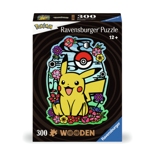 POKEMON PIKACHU