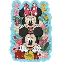 DISNEY MICKEY & MINNIE