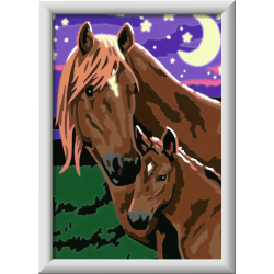CABALLOS