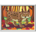 LINCE