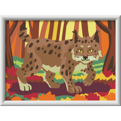 LINCE