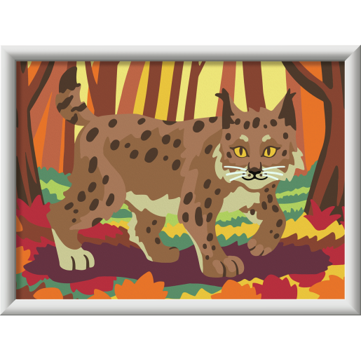 LINCE