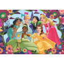 DISNEY PRINCESAS