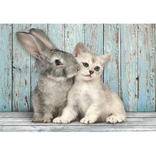 CAT&BUNNY - COMPACT BOX