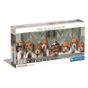 1000 - PANORAMA - BEAGLES - COMPACT BOX