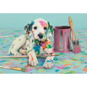 DALMATA DIVERTIDO - COMPACT BOX