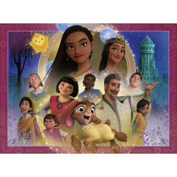 DISNEY WISH