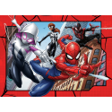 SPIDERMAN BUMPER PACK