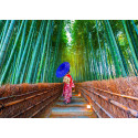 MUJER ASIATICA EN EL BOSQUE DE BAMBU