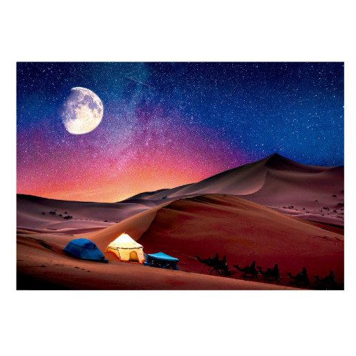 SUEÑO DE LA NOCHE ESTRELLADA / PEACE PUZZLE