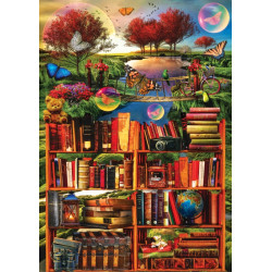 IMAGINACION A TRAVES DE LA LECTURA