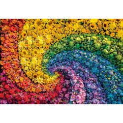 WHIRL - COMPACT BOX - COLORBOOM