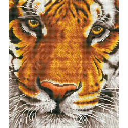 TIGRE DE BENGALA - DIAMOND DOTZ
